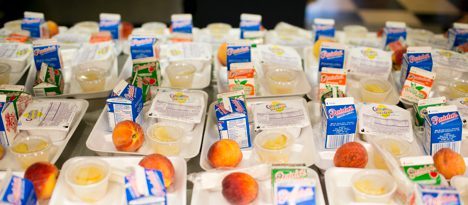 disaster relief to feed the hungry shareourstrength.org